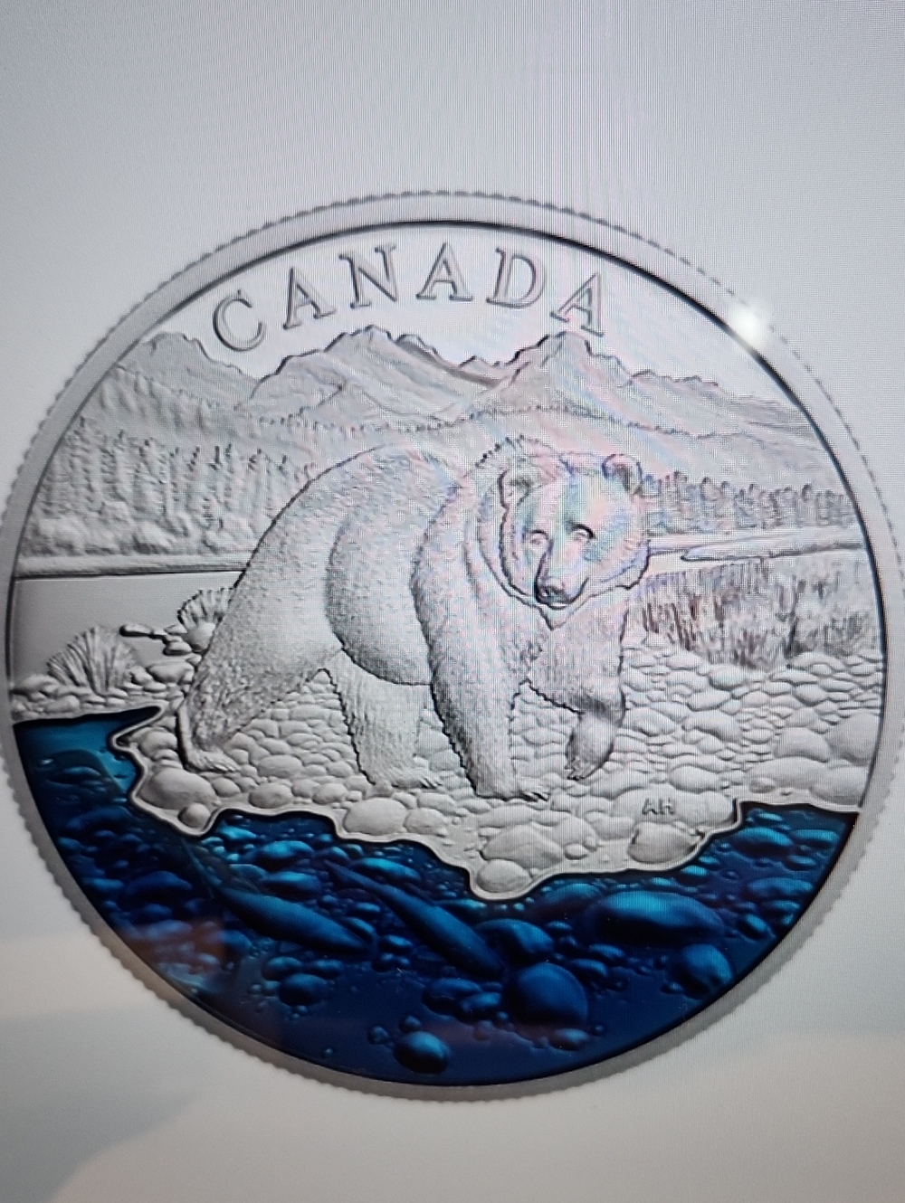 Canada Bear Coin Wall Art - Blue and Silver Accent
